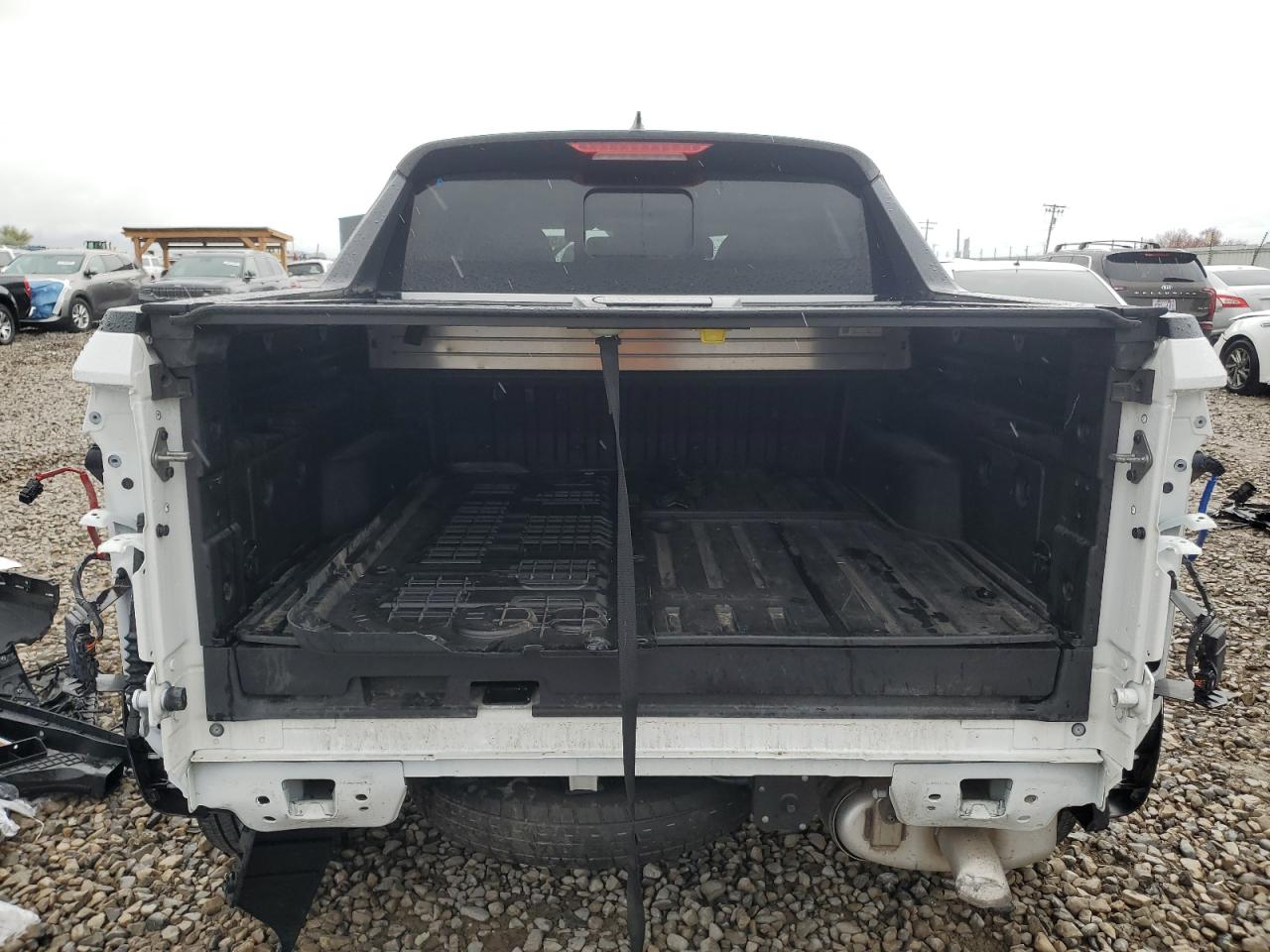 2023 Hyundai Santa Cruz Sel Premium VIN: 5NTJDDAF7PH059404 Lot: 55059665