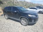 2014 Kia Sorento Lx en Venta en Reno, NV - Vandalism