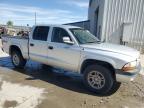 Reno, NV에서 판매 중인 2003 Dodge Dakota Quad Sport - Rear End