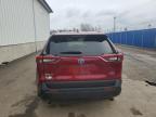 2024 TOYOTA RAV4 XLE   for sale at Copart NB - MONCTON