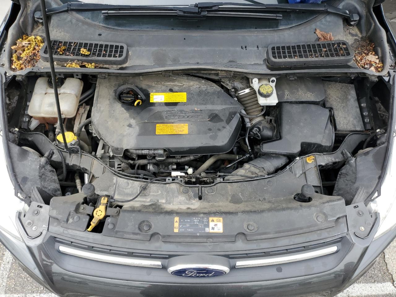 1fmcu0gx9guc56429 1FMCU0GX9GUC56429 2016 Ford Escape Se