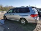 2010 Honda Odyssey Exl zu verkaufen in Louisville, KY - Hail