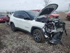 2025 Jeep Compass Limited იყიდება Cicero-ში, IN - Front End