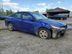 2023 Hyundai Elantra Se for Sale in Greenwell Springs, LA - Front End