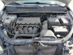 2009 Kia Rondo Base for Sale in Bridgeton, MO - Front End