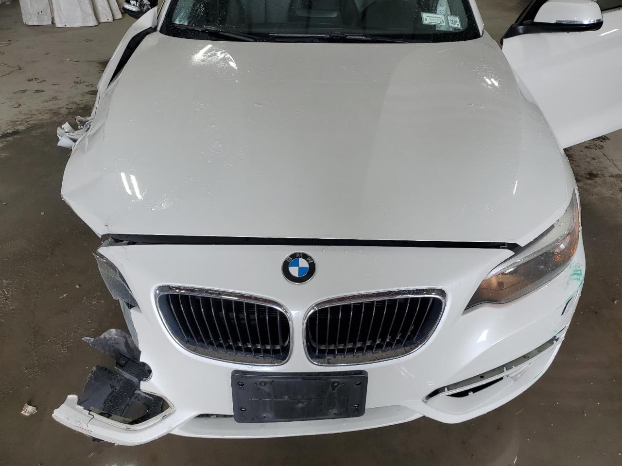 2015 BMW 228 Xi Sulev VIN: WBA1G9C57FVX96900 Lot: 53186835