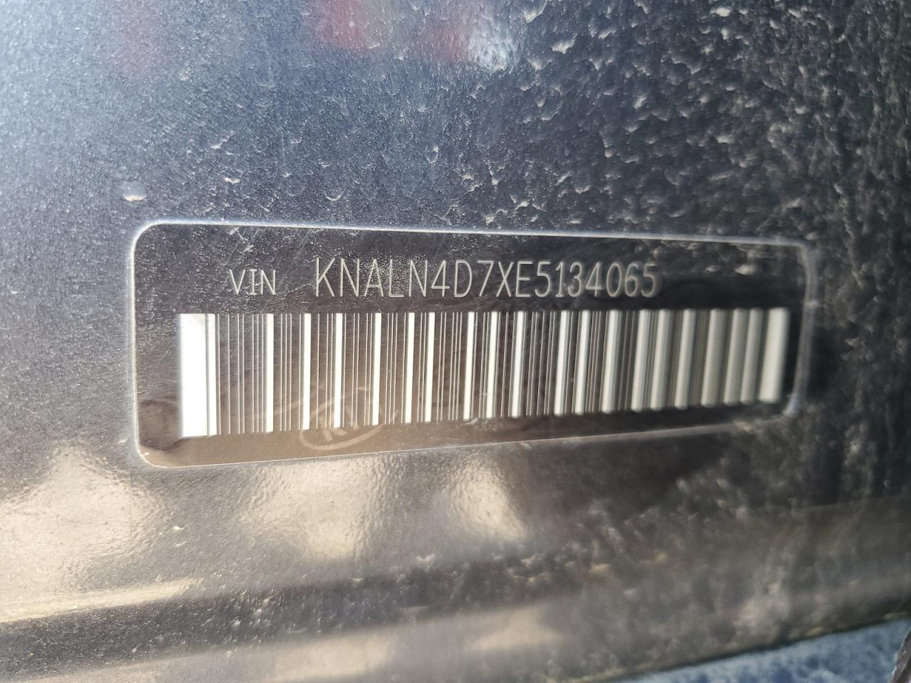 2014 Kia Cadenza Premium VIN: KNALN4D7XE5134065 Lot: 53202315