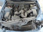 2006 Ford Mustang  en Venta en New Braunfels, TX - Front End