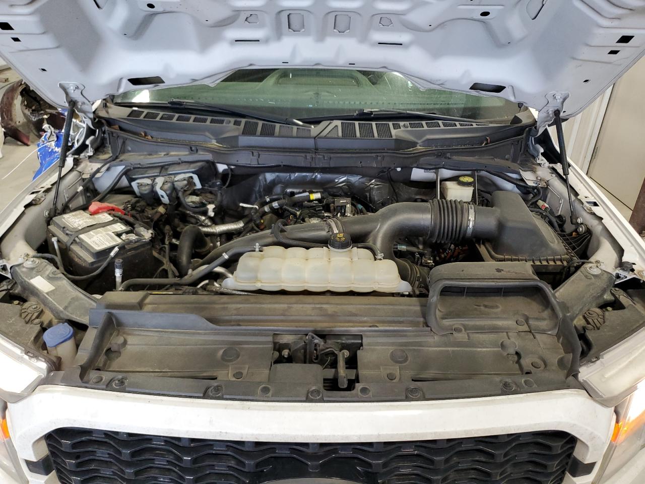 1FTEW1CP7MFB23817 FORD F-150 2021