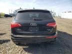 2011 Audi Q5 Premium na sprzedaż w Windsor, NJ - Rear End
