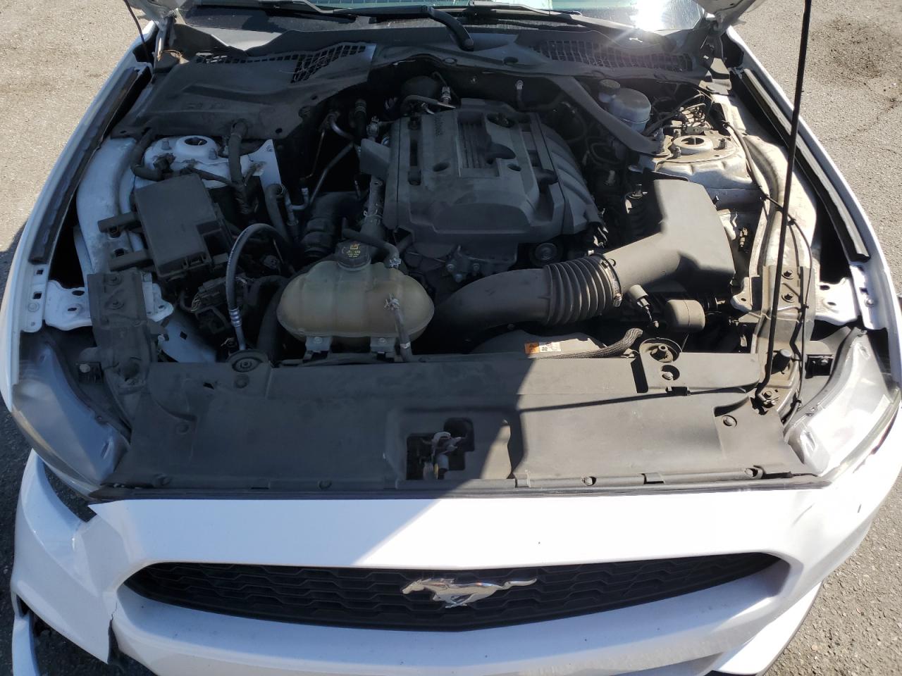 1FATP8UHXH5273359 FORD ALL OTHER 2017