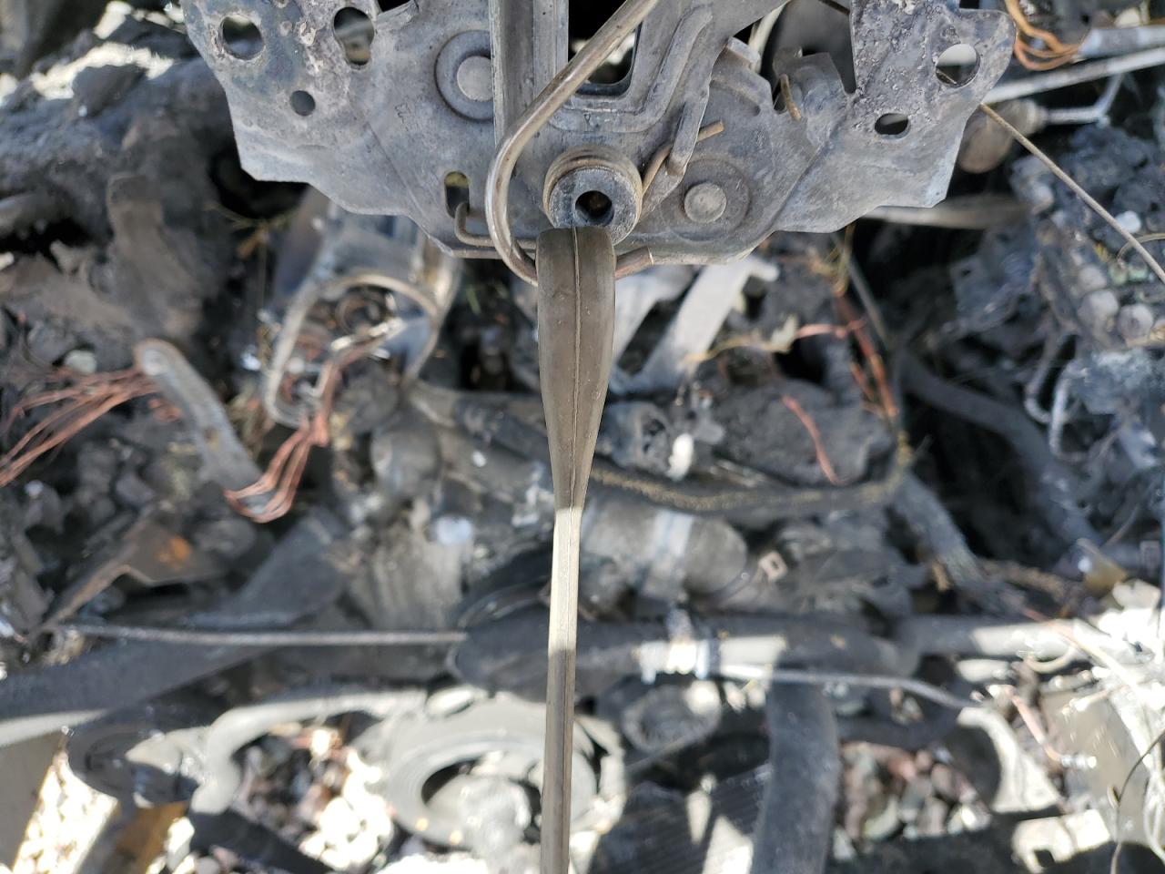 1FTBW1X8XRKA54769 FORD TRANSIT 2024
