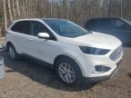 2024 FORD EDGE SEL à vendre chez Copart ON - COOKSTOWN