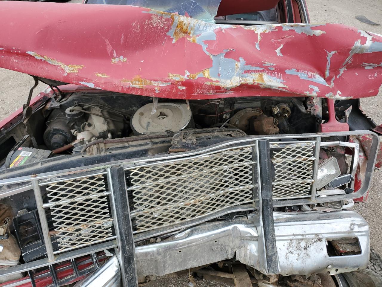 1981 Chevrolet C10 VIN: 1GCEC14Z0BJ103119 Lot: 55033205