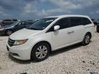 2016 Honda Odyssey Exl   de vânzare în Taylor, TX - Minor Dent/Scratches