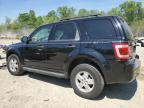 2008 Ford Escape Xlt for Sale in Waldorf, MD - Minor Dent/Scratches