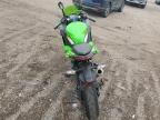 2025 Kawasaki Ex500 H for Sale in Greenwood, NE - Side