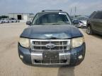 2011 Ford Escape Limited იყიდება San Antonio-ში, TX - Front End