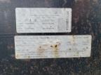 2021 Down To Earth Equipment Trailer for Sale in Woodburn, OR - Normal Wear
