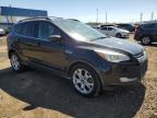 2013 Ford Escape Se for Sale in Woodhaven, MI - Front End