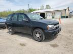 2006 Chevrolet Trailblazer Ls for Sale in Pekin, IL - Normal Wear
