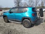 2020 Jeep Renegade Trailhawk zu verkaufen in Cicero, IN - Front End