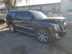 2015 Cadillac Escalade Luxury for Sale in Albuquerque, NM - Front End