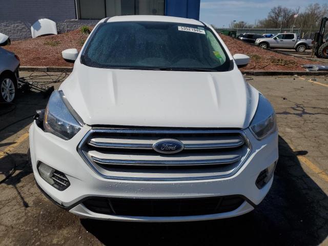  FORD ESCAPE 2019 Biały