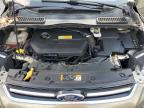 2013 Ford Escape Sel for Sale in Riverview, FL - Rear End