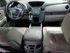 2009 Honda Pilot Exl zu verkaufen in Louisville, KY - Hail