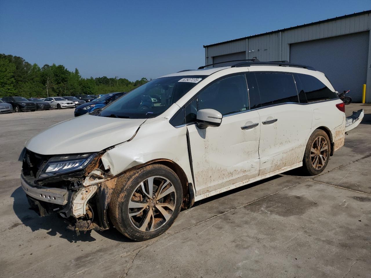2019 Honda Odyssey Elite на продаже в Gaston, SC - All Over