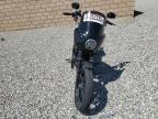 2018 Harley-Davidson Xl883 Iron 883 for Sale in Mentone, CA - Rear End