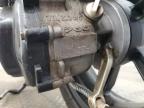 2020 Genuine Scooter Co. Roughhouse 50 na sprzedaż w Ham Lake, MN - Side