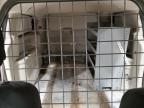 2014 Ram Tradesman продається в Milwaukee, WI - Minor Dent/Scratches