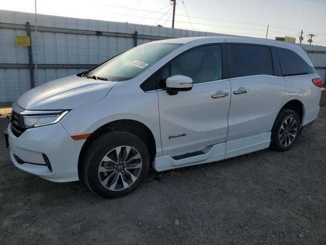 2023 Honda Odyssey Exl