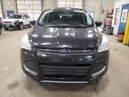 2014 Ford Escape Se for Sale in Blaine, MN - Front End