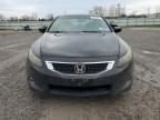 2009 Honda Accord Exl   for Sale in Leroy, NY - Front End