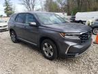 2023 Honda Pilot Exl للبيع في Northfield، OH - Burn