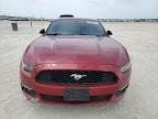 2015 Ford Mustang  للبيع في New Braunfels، TX - All Over