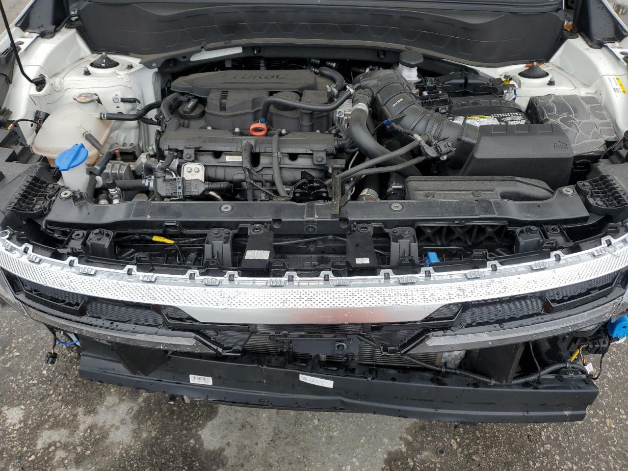 2024 Kia Seltos Sx VIN: KNDETCA71R7553593 Lot: 51286435