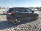 2014 Ford Escape Titanium for Sale in Houston, TX - Hail