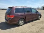 2010 Honda Odyssey Exl للبيع في Davison، MI - Front End