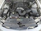2009 Ford Mustang Gt for Sale in Memphis, TN - Water/Flood