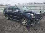 2017 Cadillac Escalade Luxury للبيع في Assonet، MA - Front End