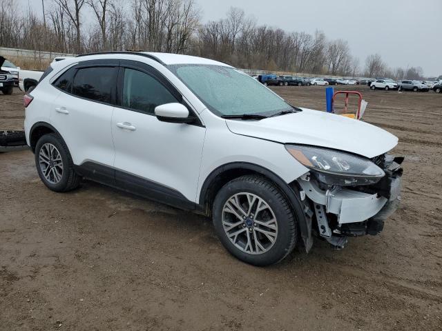  FORD ESCAPE 2020 Белы