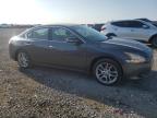 2010 Nissan Maxima S for Sale in Earlington, KY - Hail