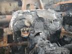 2015 Ford F250 Super Duty zu verkaufen in Montgomery, AL - Burn