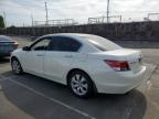 2009 Honda Accord Exl en Venta en Wilmington, CA - Minor Dent/Scratches