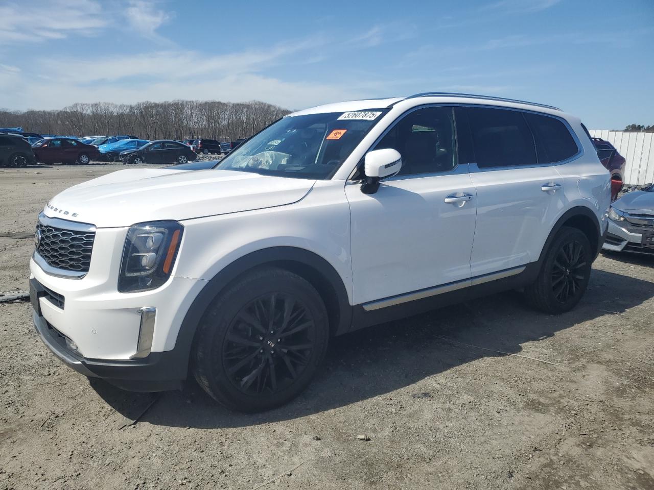2021 Kia Telluride Sx de vânzare în Assonet, MA - All Over