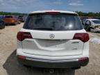 2010 Acura Mdx Technology zu verkaufen in Midway, FL - Front End